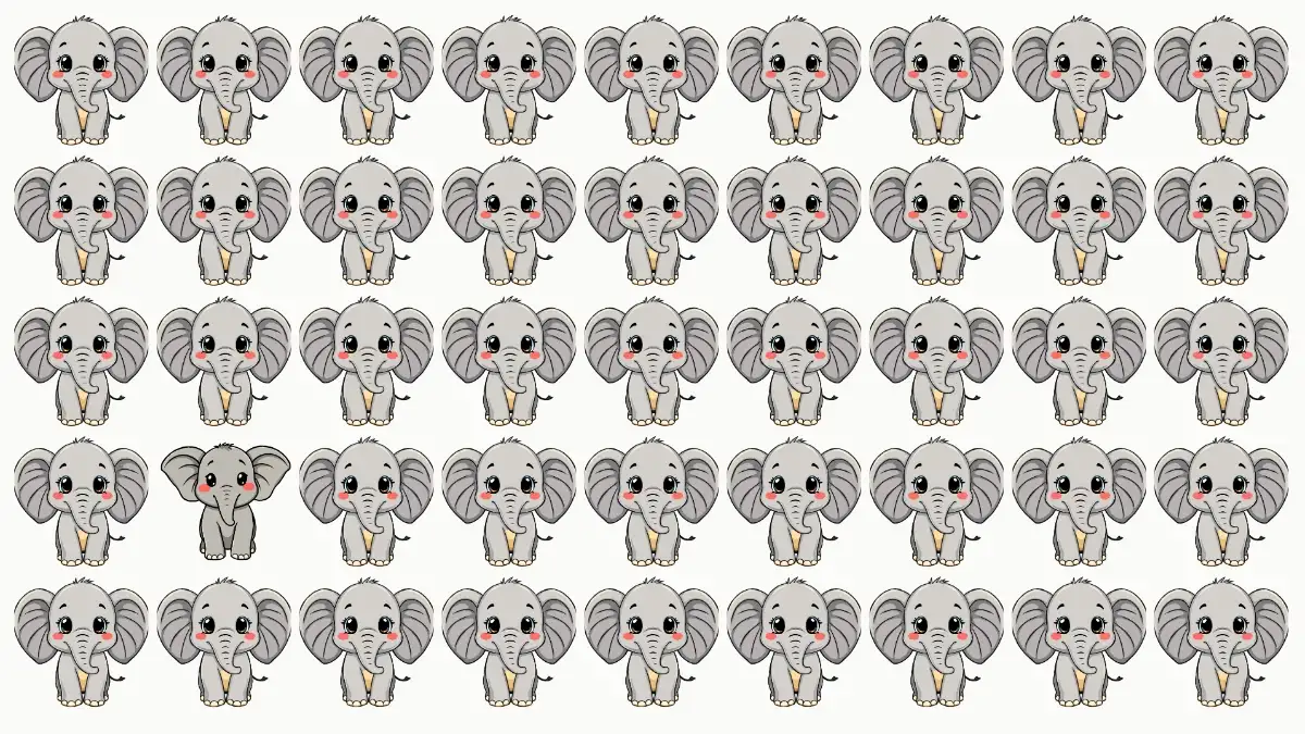Optical Illusion Eye Test: If You have Hawk Eyes Spot the Odd Elephant in 5 Secs Optical Illusion Eye Test: If You have Hawk Eyes Spot the Odd Elephant in 5 Secs