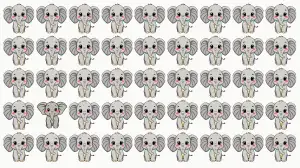 Optical Illusion Eye Test: If You have Hawk Eyes Spot the Odd Elephant in 5 Secs