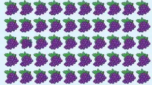 Optical Illusion Eye Test: If You have Hawk Eyes Spot the Odd Grapes in 5 Secs