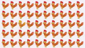 Optical Illusion Eye Test: If You have Hawk Eyes Spot the Odd Hen in 5 Secs
