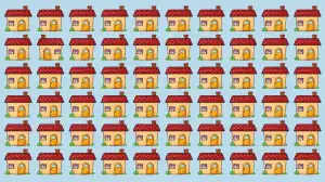 Optical Illusion Eye Test: If You have Hawk Eyes Spot the Odd House in 7 Secs