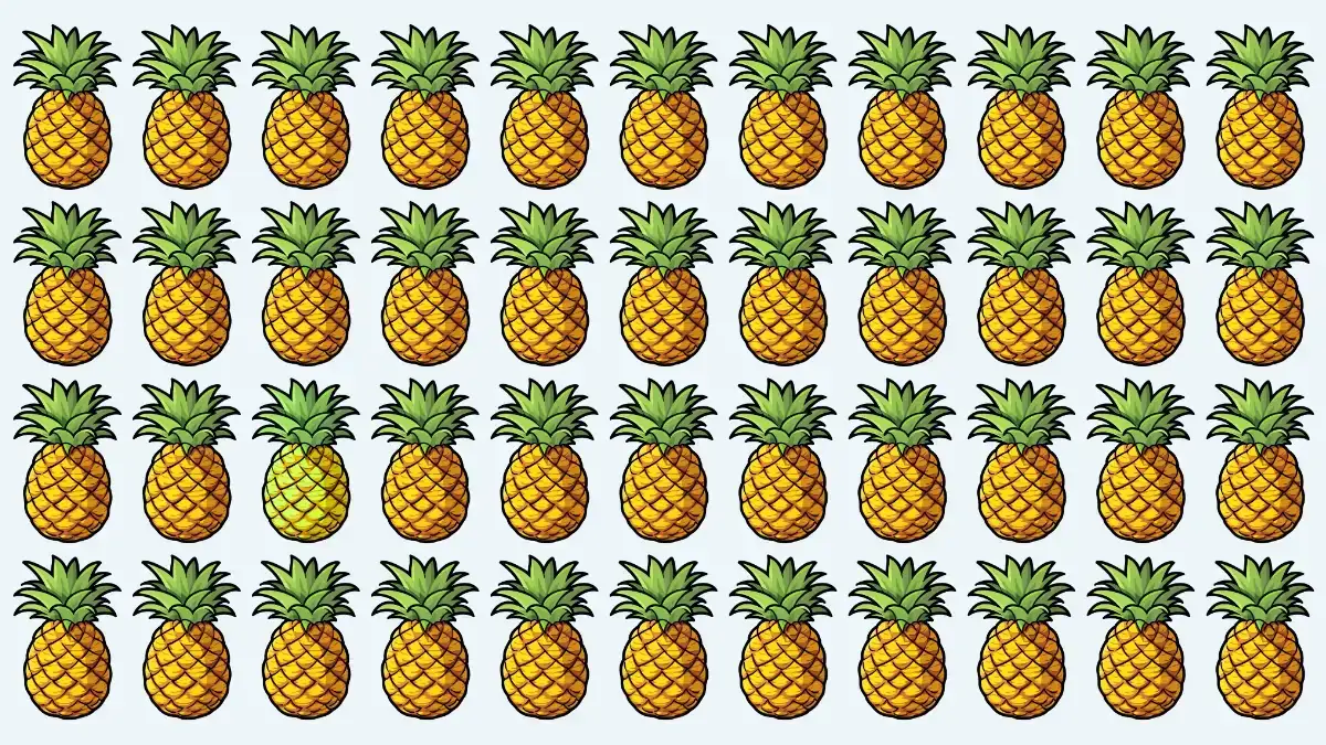 Optical Illusion Eye Test: If You have Hawk Eyes Spot the Odd Pineapple in 5 Secs Optical Illusion Eye Test: If You have Hawk Eyes Spot the Odd Pineapple in 5 Secs
