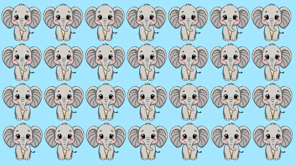 Odd One Out Puzzle: Only eagle Eyes Can Spot the Odd Elephant in 7 Secs Odd One Out Puzzle: Only eagle Eyes Can Spot the Odd Elephant in 7 Secs