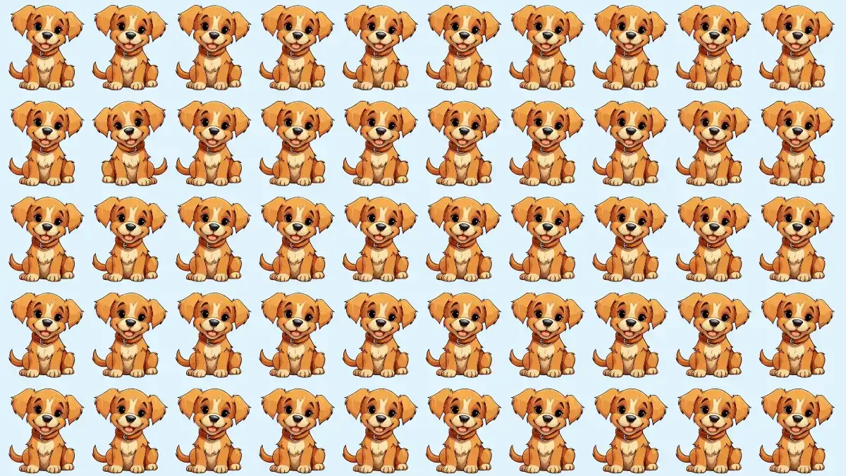 Optical Illusion Eye Test: If You have Hawk Eyes Spot the Odd Dog in 7 Secs Optical Illusion Eye Test: If You have Hawk Eyes Spot the Odd Dog in 7 Secs