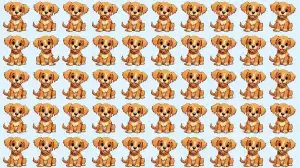 Optical Illusion Eye Test: If You have Hawk Eyes Spot the Odd Dog in 7 Secs