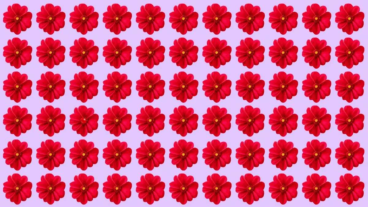 Optical Illusion Eye Test: If You have Hawk Eyes Spot the Odd Flower in 5 Secs