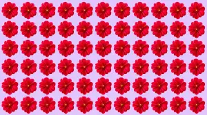 Optical Illusion Eye Test: If You have Hawk Eyes Spot the Odd Flower in 5 Secs