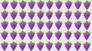 Optical Illusion Eye Test: If You have Hawk Eyes Spot the Odd Grapes in 7 Secs