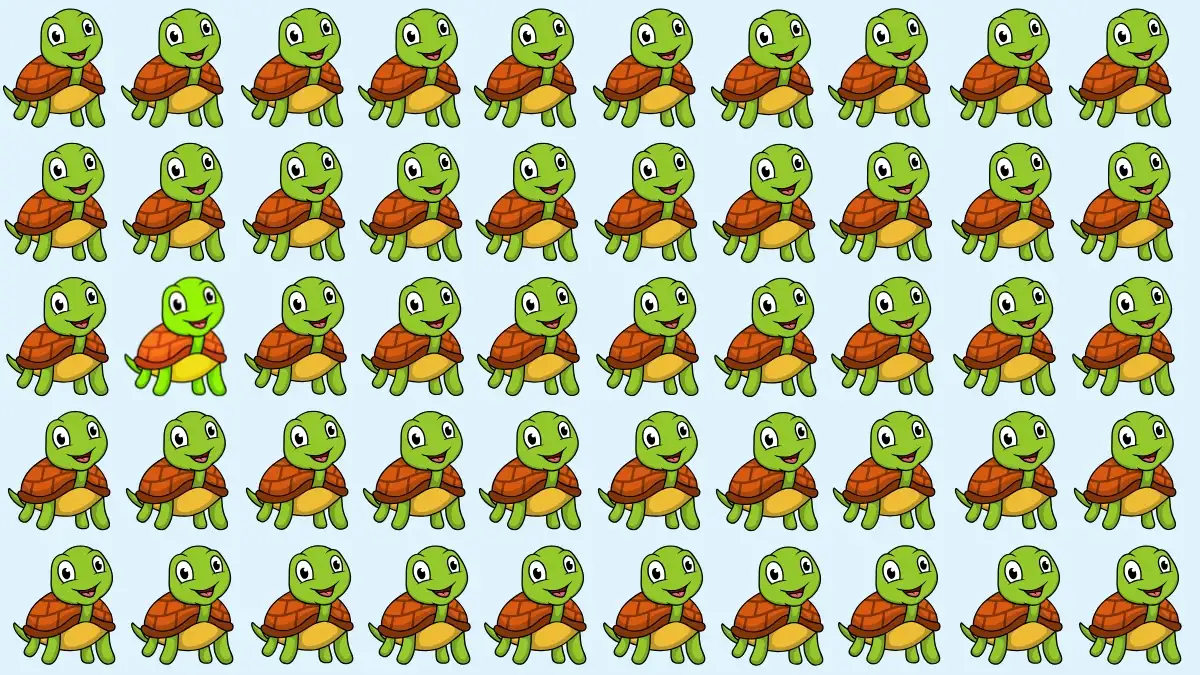 Optical Illusion Eye Test: If You have Hawk Eyes Spot the Odd Turtle in 5 Secs Optical Illusion Eye Test: If You have Hawk Eyes Spot the Odd Turtle in 5 Secs