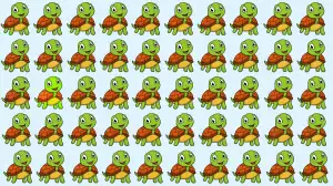 Optical Illusion Eye Test: If You have Hawk Eyes Spot the Odd Turtle in 5 Secs